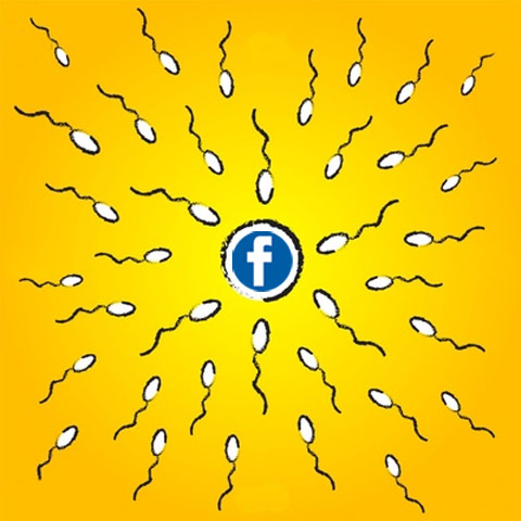 fbsperm fbsperm