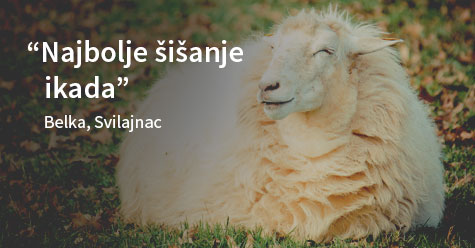ovca-testimonijal