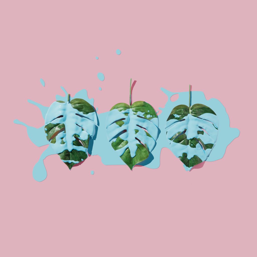 Blue paint splatter over tropical leaves on pink pastel background. flat lay. Minimal concept.